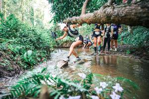 BIB: 
                            <button type="button" onclick="openModal(25515746)" class="btn btn-primary btn-sm float-right btn-popup" data-toggle="modal" data-target=".modal-high-quality">
                        <i class="fas fa-shopping-cart"></i> Add to Cart
                    </button>
                                            <button type="button" onclick="isThisMe(25515746, true)" class="btn btn-success btn-sm float-right btn-popup btn-isme hidden" data-toggle="tooltip" data-placement="bottom" title="นี่คือรูปของคุณใช่ไหม คลิกที่นี่เพื่อเอาเข้าอัลบั้ม">
                        <i class="fas fa-plus"></i> Add to album
                    </button>
                    <button type="button" onclick="isThisMe(25515746, false)" class="btn btn-warning btn-sm float-right btn-popup btn-isnotme hidden">
                        <i class="fas fa-ban"></i> Remove from album
                    </button>